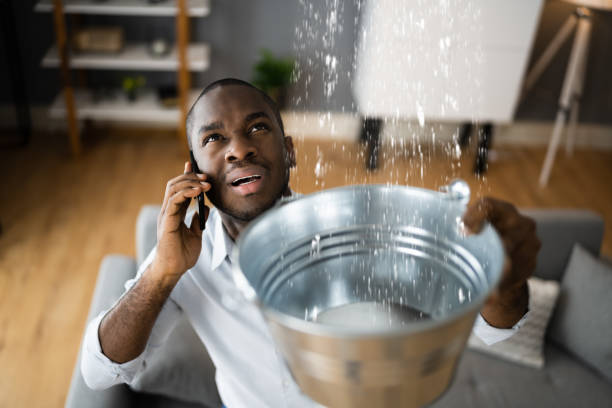 Best Ceiling water damage repair  in Miller Place, NY