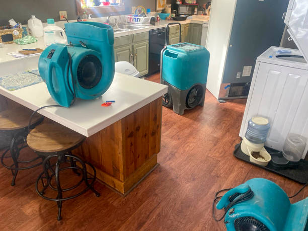 Best Water damage restoration near me  in Miller Place, NY