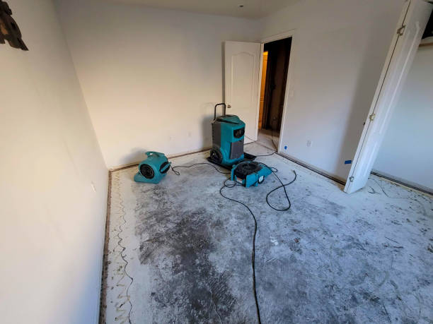 Best Flooded house restoration  in Miller Place, NY