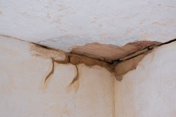 Best Sewage cleanup and water damage restoration  in Miller Place, NY