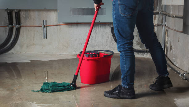  Miller Place, NY Water damage restoration Pros