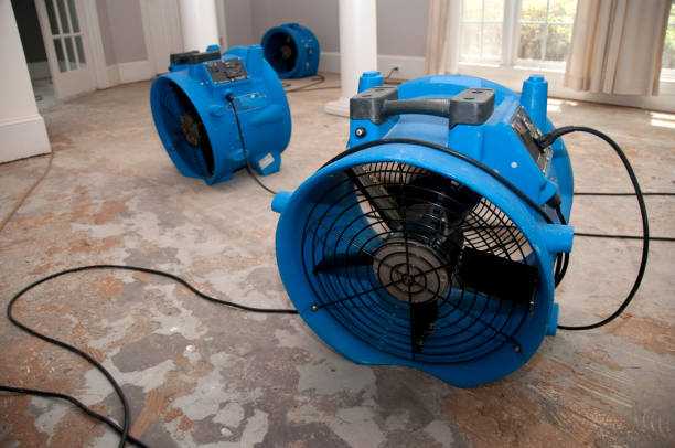 Best Flood restoration services  in Miller Place, NY