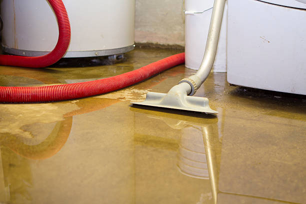 Best Flood restoration services  in Miller Place, NY