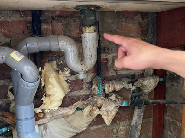 Best Flood damage cleanup  in Miller Place, NY