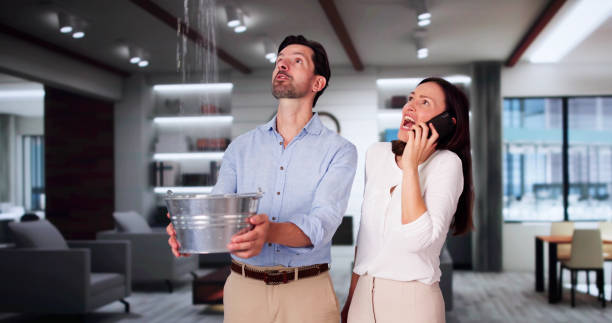 Best Water damage restoration specialists  in Miller Place, NY