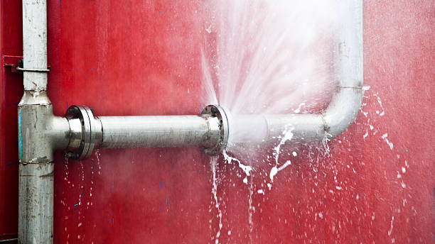 Best Carpet water damage restoration  in Miller Place, NY
